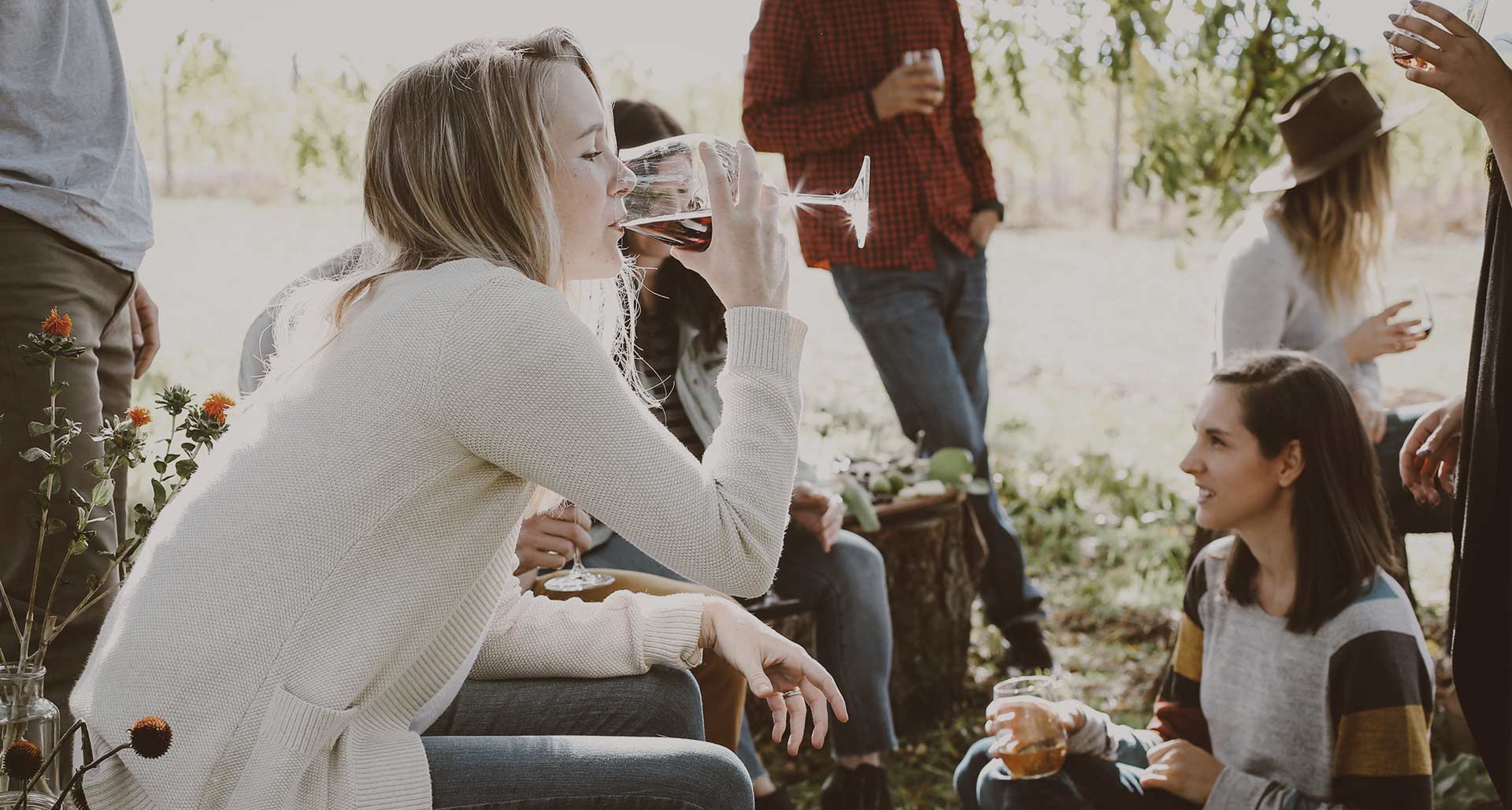 degustazioni vini